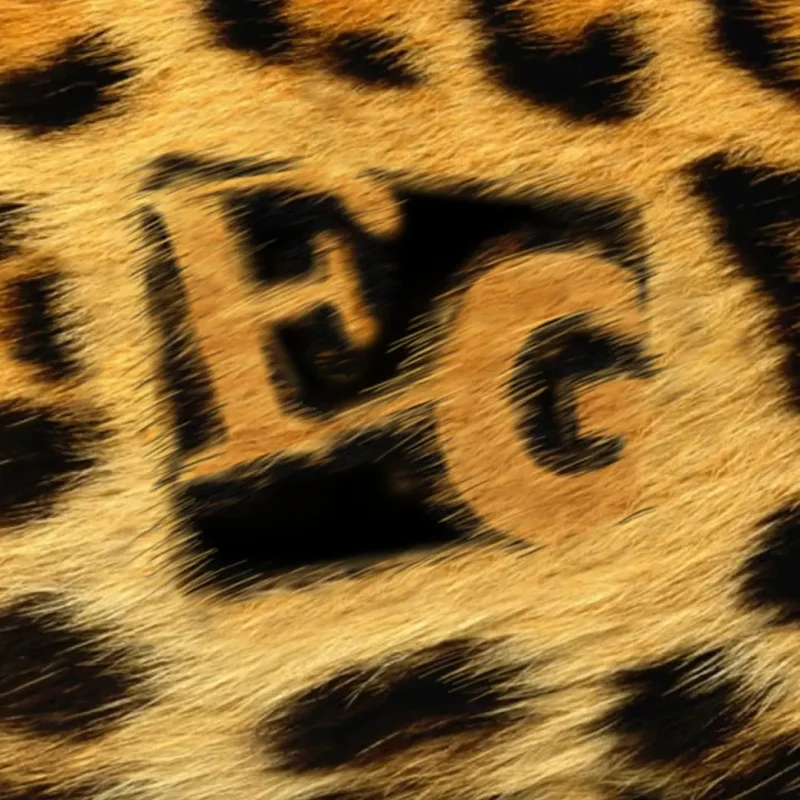 EG-LogoSlide-Leopard